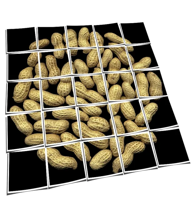 Framed Print : Black Background Peanuts Print Collage on White Framed Print : Black Background Peanuts Print Collage on White