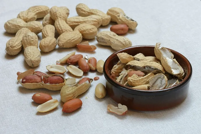 Framed Print : Peanuts in Shell, Partially Opened Print, Germany Framed Print : Peanuts in Shell, Partially Opened Print, Germany