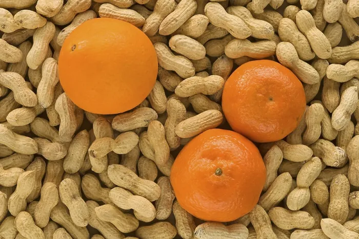 Framed Print : Peanuts and Tangerines Print Framed Print : Peanuts and Tangerines Print
