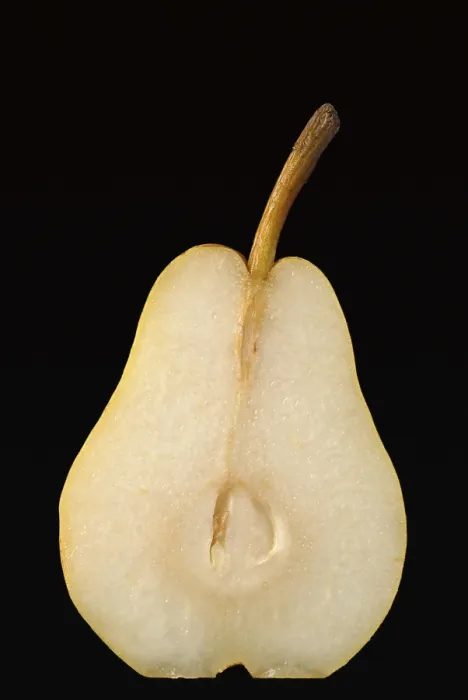 Framed Print : Pear Half Print Framed Print : Pear Half Print