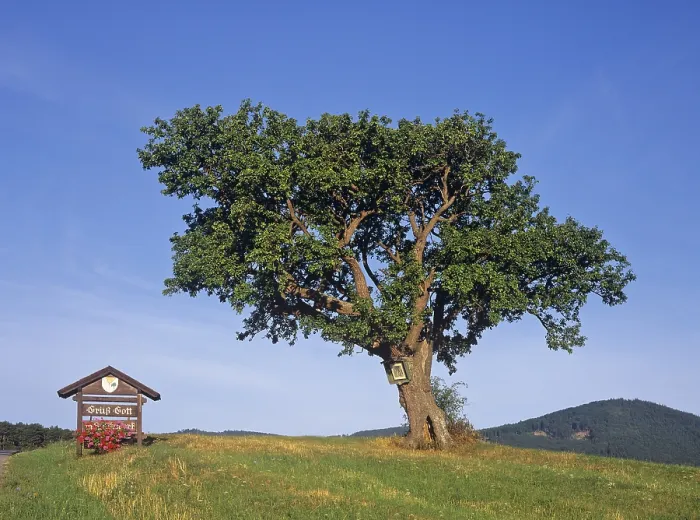 Framed Print : Pear Tree and Wayside Shrine Print, Triestingtal, Austria Framed Print : Pear Tree and Wayside Shrine Print, Triestingtal, Austria
