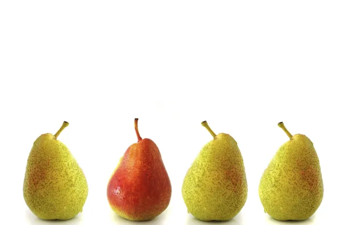 Framed Print : Four Pears, Three Green, One Red Print Framed Print : Four Pears, Three Green, One Red Print