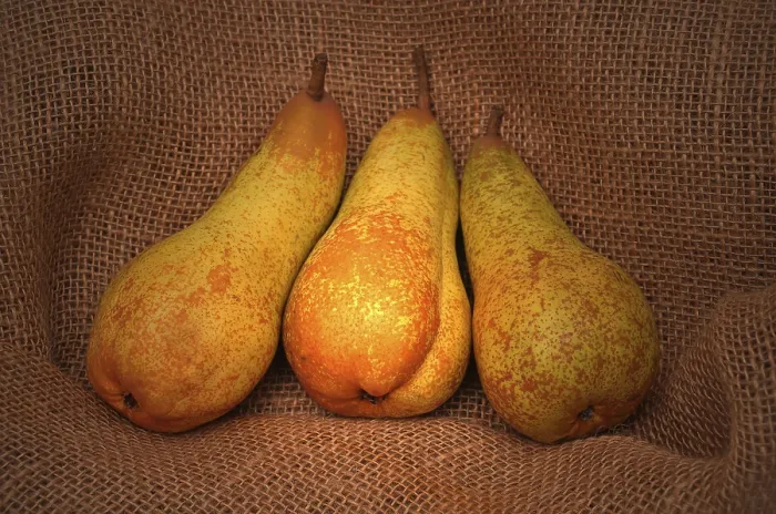Framed Print : Three Pears on Jute Sack Print