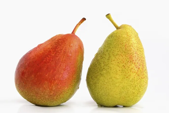 Framed Print : Two Pears, Red and Green Print Framed Print : Two Pears, Red and Green Print