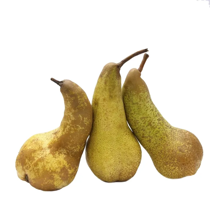 Framed Print : Three Pears Print on White Background Framed Print : Three Pears Print on White Background