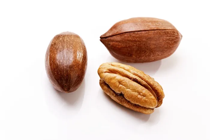 Framed Print : Pecans Print - Close-up of a Pecan Tree Framed Print : Pecans Print - Close-up of a Pecan Tree