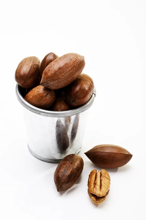 Framed Print : Pecans Print from a Tree Framed Print : Pecans Print from a Tree