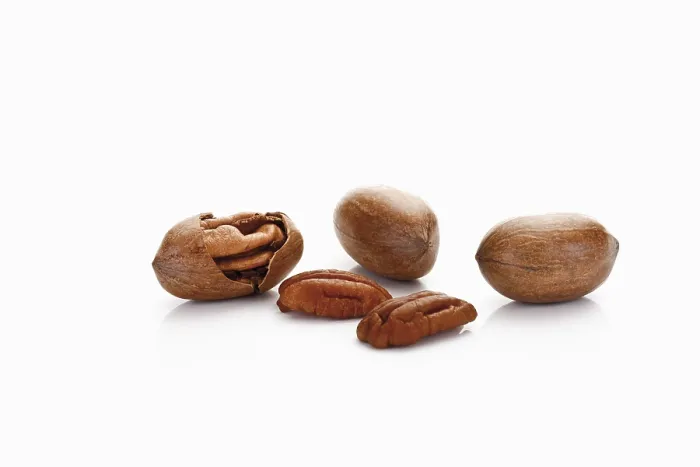 Framed Print : Pecans and Pecan Nuts Print Framed Print : Pecans and Pecan Nuts Print