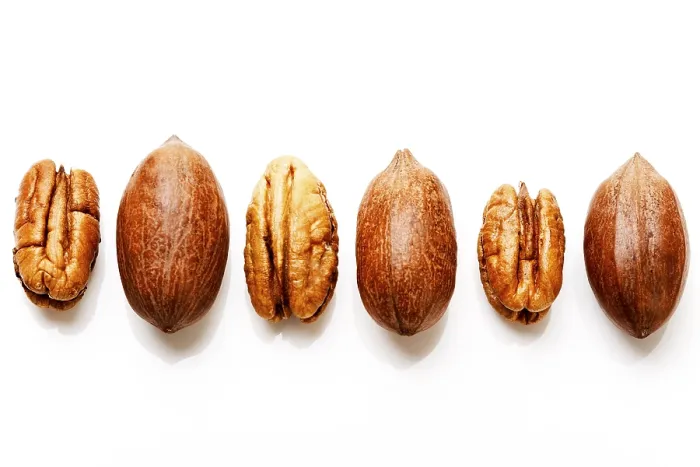 Framed Print : Pecans with and without shells Print Framed Print : Pecans with and without shells Print