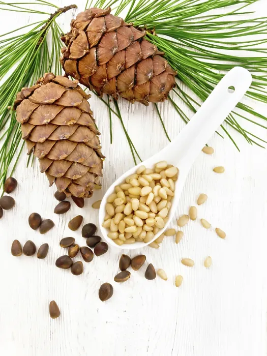 Framed Print : Cedar Nuts in a Spoon Print