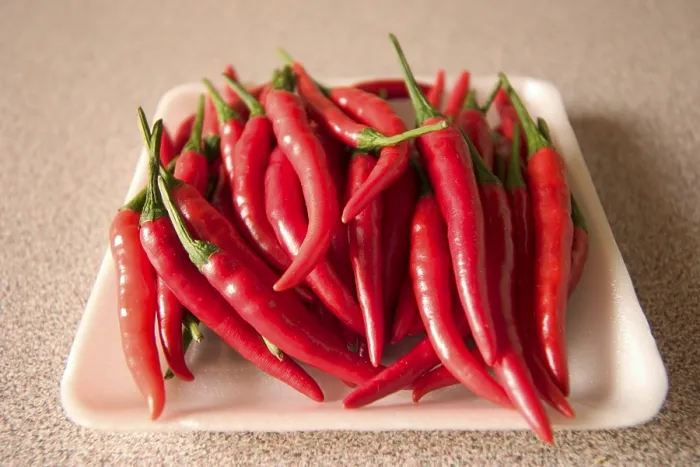 Framed Print : Pepper Print by imageBROKER Framed Print : Pepper Print by imageBROKER