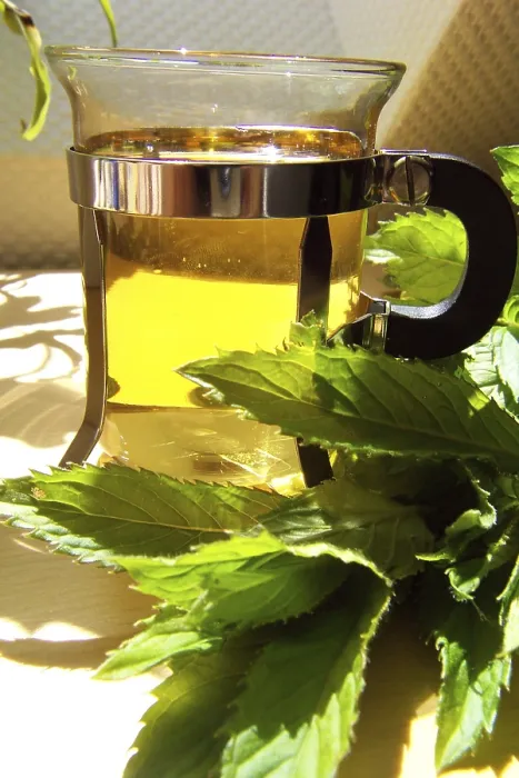 Framed Print : Peppermint Tea Print