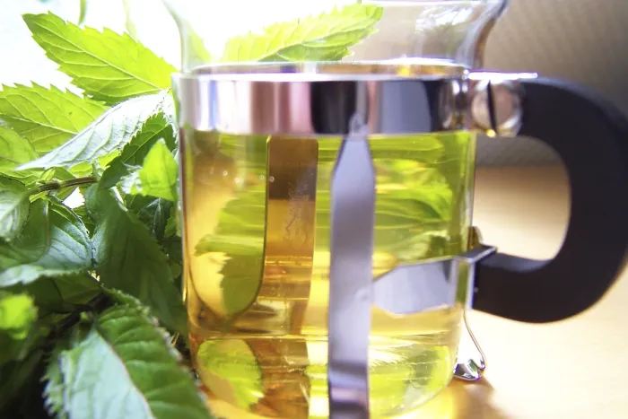 Framed Print : Peppermint Tea Print Framed Print : Peppermint Tea Print