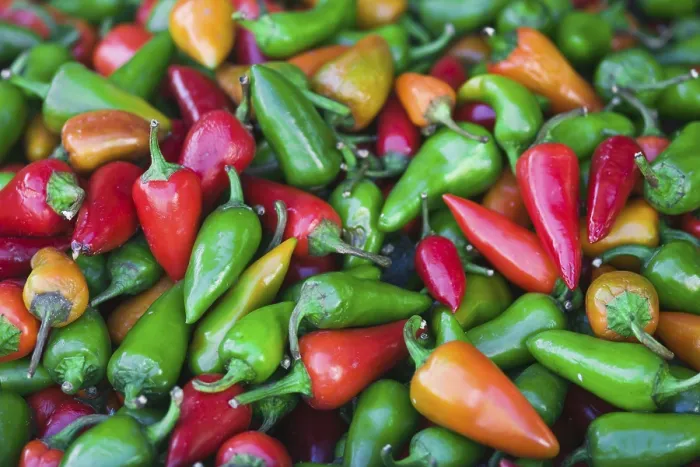 Framed Print : Peppers Print - Colorful Vegetable Still Life Framed Print : Peppers Print - Colorful Vegetable Still Life