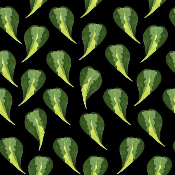 Framed Print : Philodendron Print - Hand Drawn Houseplant Seamless Pattern Framed Print : Philodendron Print - Hand Drawn Houseplant Seamless Pattern