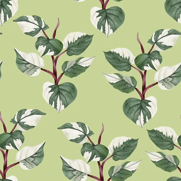 Framed Print : Philodendron Print: Hand-Drawn Houseplant Seamless Pattern Framed Print : Philodendron Print: Hand-Drawn Houseplant Seamless Pattern