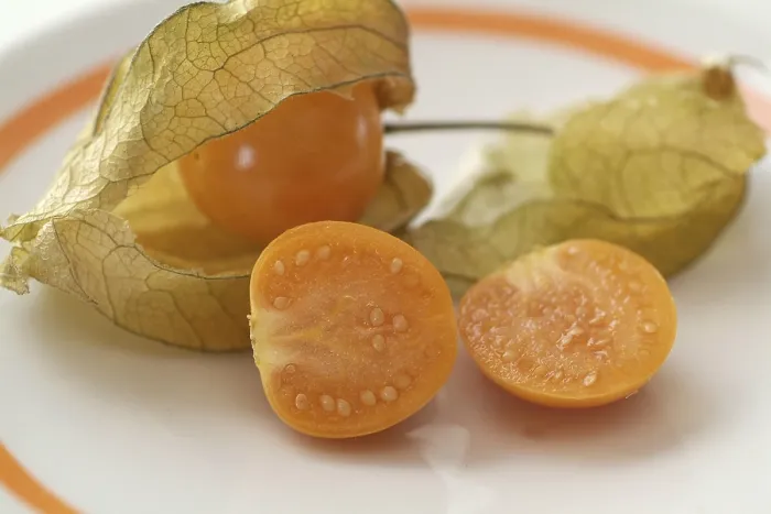 Framed Print : Physalis Physalis Print - Tropical Fruit Framed Print : Physalis Physalis Print - Tropical Fruit