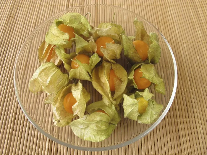 Framed Print : Physalis Print - Cape Gooseberry Framed Print : Physalis Print - Cape Gooseberry