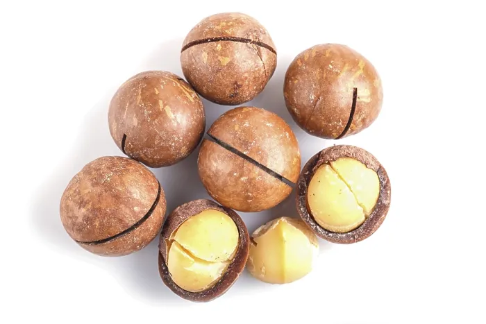 Framed Print : Macadamia Nuts Print with Shell Isolated on White Background Framed Print : Macadamia Nuts Print with Shell Isolated on White Background