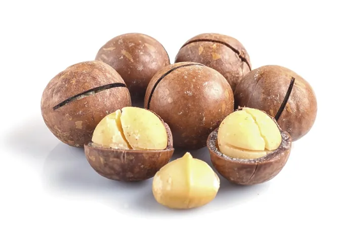 Framed Print : Macadamia Nuts Print with Shell Close-Up Framed Print : Macadamia Nuts Print with Shell Close-Up