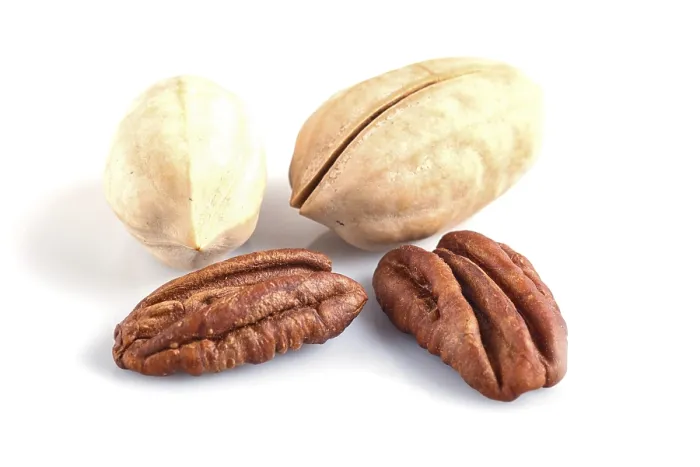 Framed Print : Pecan Nuts Print with Shell Isolated on White Background Framed Print : Pecan Nuts Print with Shell Isolated on White Background