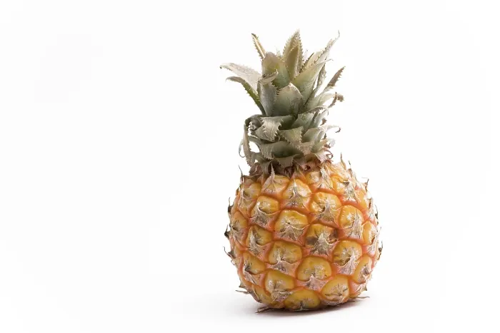 Framed Print : Pineapple Pineapple Print by imageBROKER Framed Print : Pineapple Pineapple Print by imageBROKER