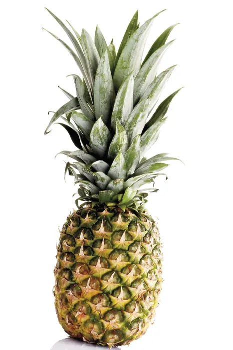 Framed Print : Pineapple Print - Ananas comosus