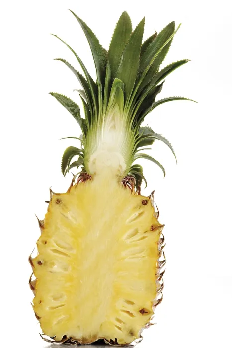 Framed Print : Halved Pineapple Print (Ananas comosus) Framed Print : Halved Pineapple Print (Ananas comosus)