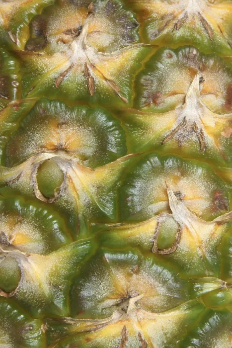 Framed Print : Detail Pineapple Close-up Print for Backgrounds Framed Print : Detail Pineapple Close-up Print for Backgrounds