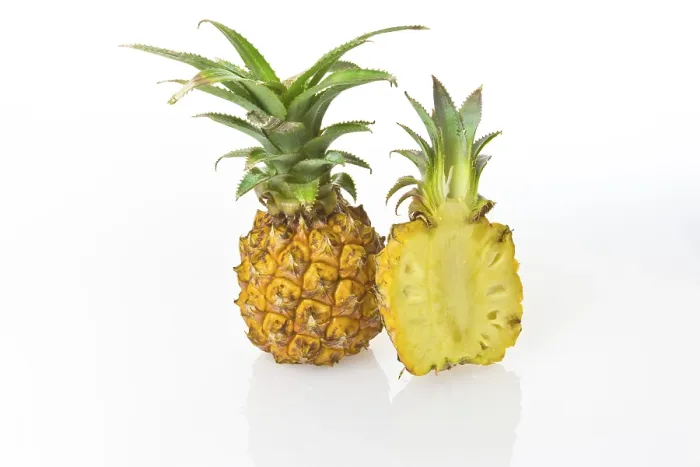 Framed Print : Two Pineapples (Ananas comosus) Print - Cut in Half Framed Print : Two Pineapples (Ananas comosus) Print - Cut in Half