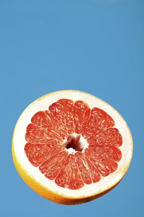Framed Print : Pink Grapefruit Print Framed Print : Pink Grapefruit Print