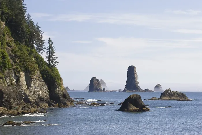 Framed Print : La Push Pinnacles Print, Olympic National Park Framed Print : La Push Pinnacles Print, Olympic National Park