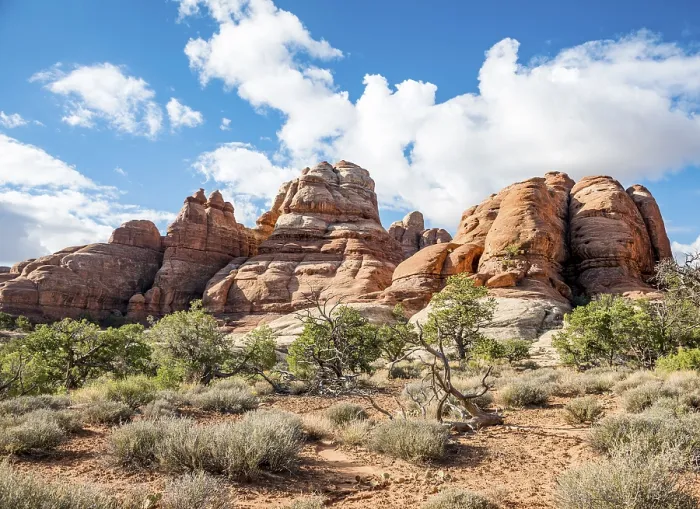 Framed Print : Pinnacles Rock Formations Print, Canyonlands National Park Framed Print : Pinnacles Rock Formations Print, Canyonlands National Park
