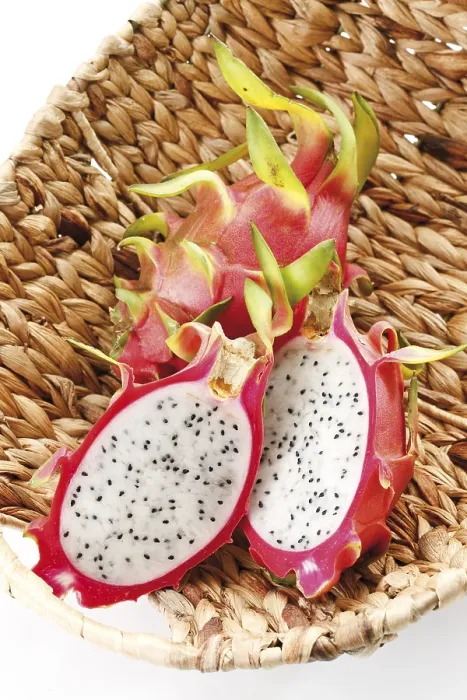 Framed Print : Pitahaya Pitahaya Print Framed Print : Pitahaya Pitahaya Print