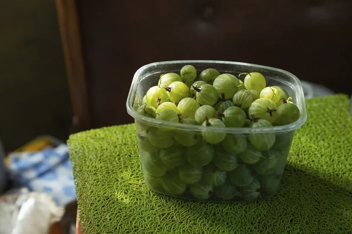 Framed Print : Green Gooseberries in a Plastic Container Print Framed Print : Green Gooseberries in a Plastic Container Print