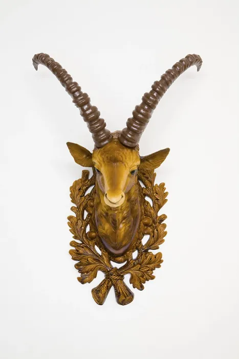 Framed Print : Print of Ibex Head in Frontal View Framed Print : Print of Ibex Head in Frontal View