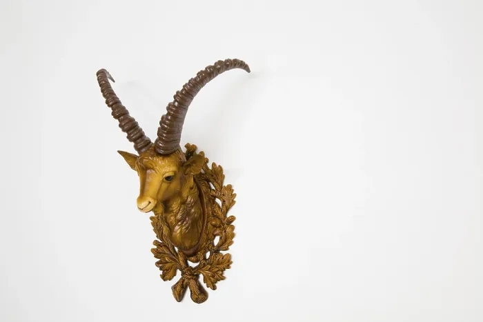 Framed Print : Plastic Ibex Head Print, Side View Framed Print : Plastic Ibex Head Print, Side View