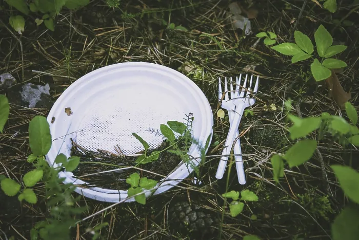 Framed Print : Plastic Waste on Forest Floor Print Framed Print : Plastic Waste on Forest Floor Print