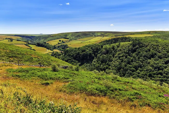 Framed Print : Exmoor National Park Print, Devon, England Framed Print : Exmoor National Park Print, Devon, England