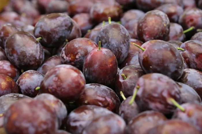 Framed Print : Plum Plum Print by imageBROKER