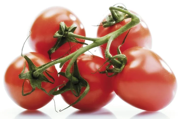 Framed Print : Plum Tomatoes Print Framed Print : Plum Tomatoes Print