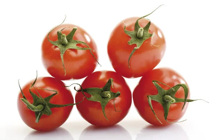 Framed Print : Plum Tomatoes Print Framed Print : Plum Tomatoes Print