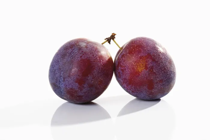 Framed Print : Print of Plums by Still Life Artist Framed Print : Print of Plums by Still Life Artist