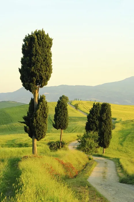 Framed Print : Podere Terrapille 16 Print Framed Print : Podere Terrapille 16 Print