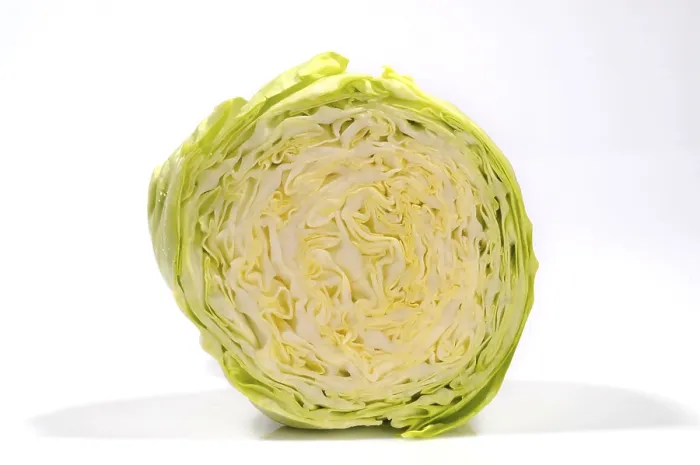 Framed Print : Pointed Cabbage Print: Cut Open Section Framed Print : Pointed Cabbage Print: Cut Open Section