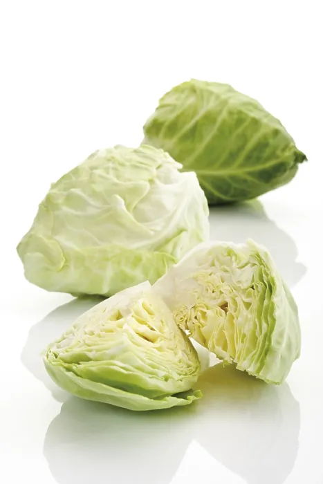 Framed Print : Pointed Cabbage Print: Whole and Halved Heads Framed Print : Pointed Cabbage Print: Whole and Halved Heads