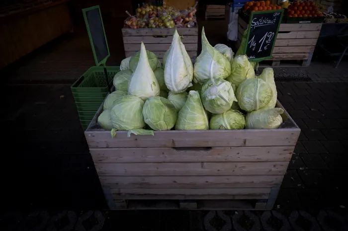 Framed Print : Pointed Cabbage Display, Stuttgart, Germany Print Framed Print : Pointed Cabbage Display, Stuttgart, Germany Print