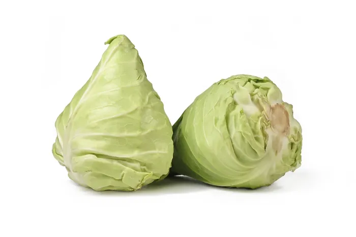 Framed Print : Two Pointed Cabbages Print on White Background Framed Print : Two Pointed Cabbages Print on White Background