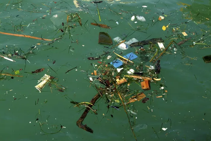 Framed Print : Polluted Sea Print - Environmental Hazard Framed Print : Polluted Sea Print - Environmental Hazard