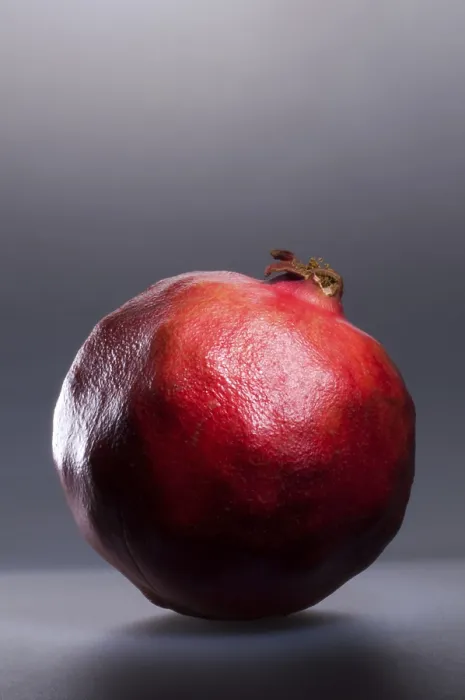 Framed Print : Pomegranate Print by ImageBROKER Framed Print : Pomegranate Print by ImageBROKER